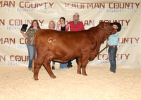 KJCLS 2026 - Heifer Backdrops-12