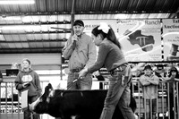 KCJLS 2026 - Swine Show