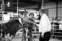 KCJLS 2026 - Steer Showmanship