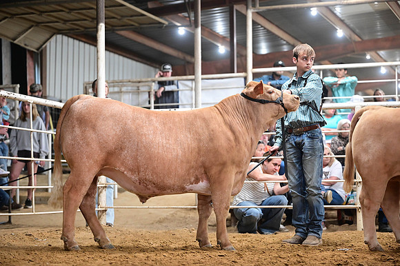 RCM_4262