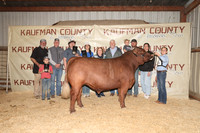 KCJLS 2026 - Steer Backdrops