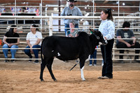 BRM26-CCJLS-1465