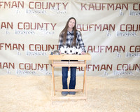 kayleighsanderschampionmarket