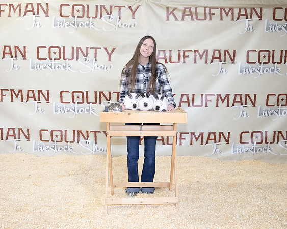 kayleighsanderschampionmarket