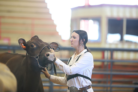 East Texas State Fair - Dairy Show-035