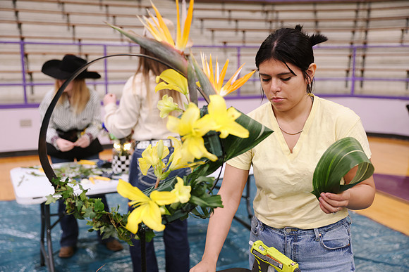 2026 ACF Flower Design Contest-93
