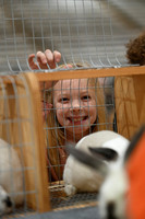 2026 ACF - Market Rabbit Show