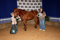 2026ACF_HorseShow-5