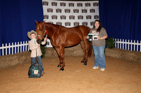2026ACF_HorseShow-4
