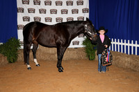 2026ACF_HorseShow-13