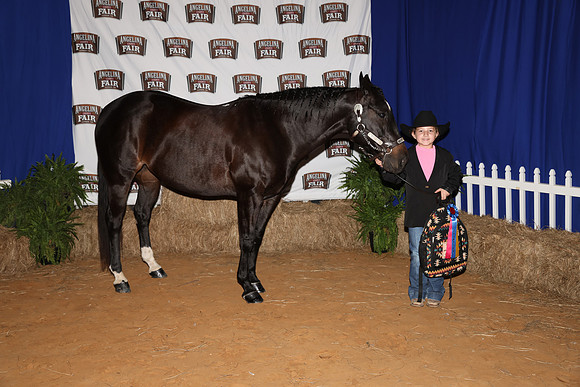 2026ACF_HorseShow-13