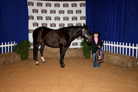 2026ACF_HorseShow-12
