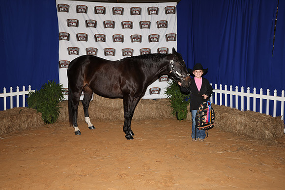 2026ACF_HorseShow-12