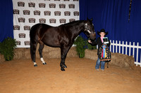 2026ACF_HorseShow-10