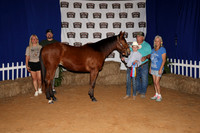 2026ACF_HorseShow-6