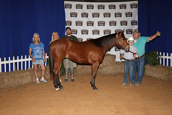 2026ACF_HorseShow-7