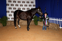 2026ACF_HorseShow-11