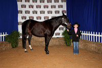 2026ACF_HorseShow-15