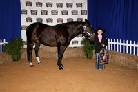 2026ACF_HorseShow-14