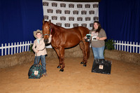 2026ACF_HorseShow-3