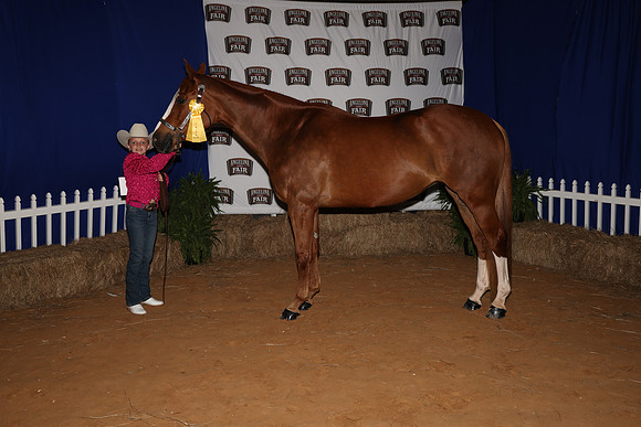 2026ACF_HorseShow-19