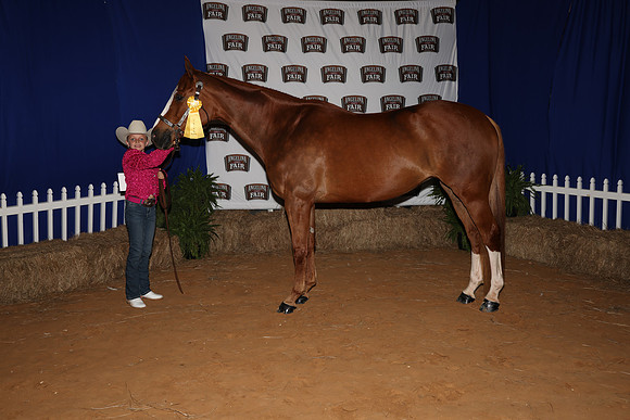 2026ACF_HorseShow-20