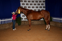 2026ACF_HorseShow-21