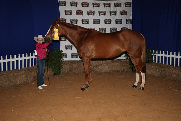 2026ACF_HorseShow-21