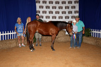 2026ACF_HorseShow-9