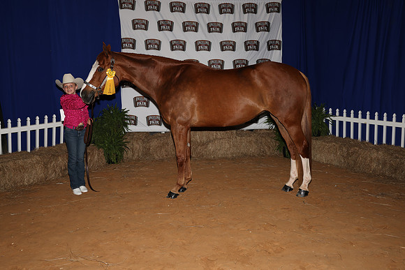 2026ACF_HorseShow-22