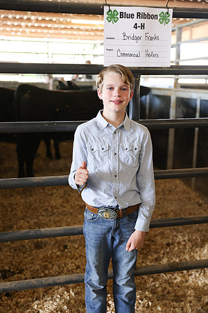 2026ACFCommercialHeifers-10