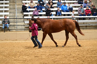 CVW_4719