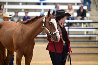CVW_4727