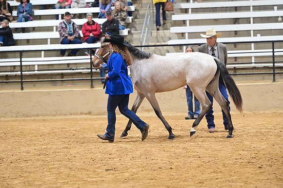 CVW_4734