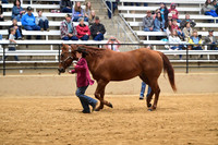 CVW_4718