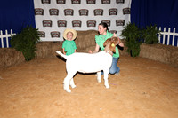 2026 ACF Reach for the Stars-4