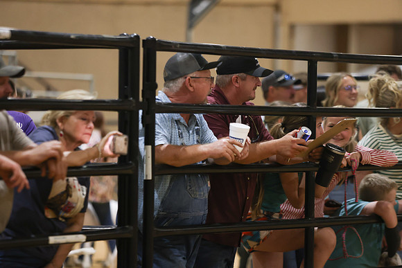 2026 ACF - Goat-Lamb Oldtimers-21