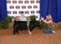 2026-ACF Market Swine Backdrops