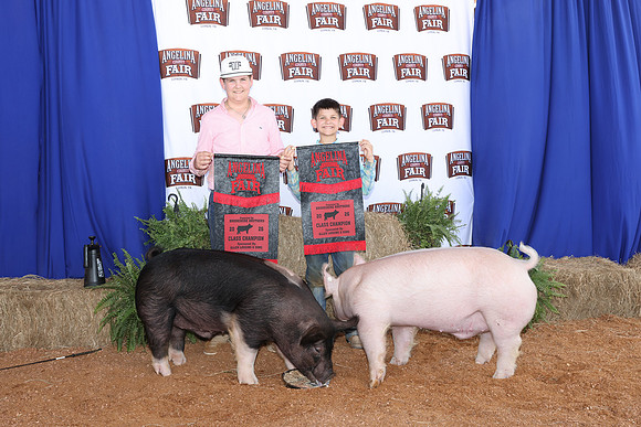 PigBackdrop