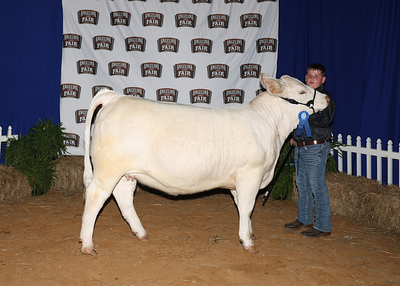 HeiferBackdrops-13