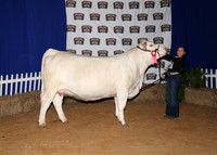 HeiferBackdrops-12