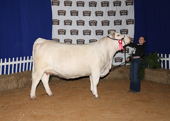 HeiferBackdrops-12