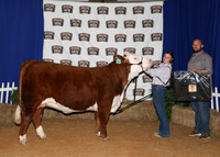 HeiferBackdrops-2-2