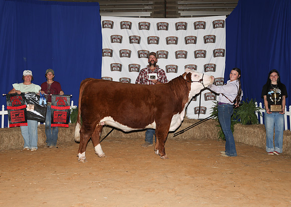 HeiferBackdrops-4-2