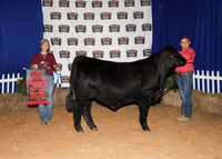 HeiferBackdrops-11