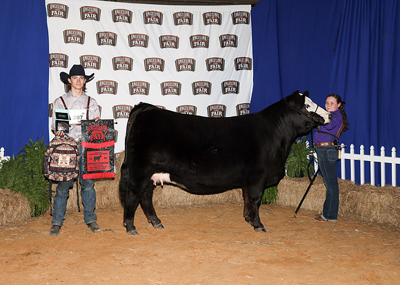 HeiferBackdrops-10