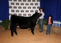 HeiferBackdrops-3