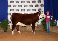 HeiferBackdrops-15