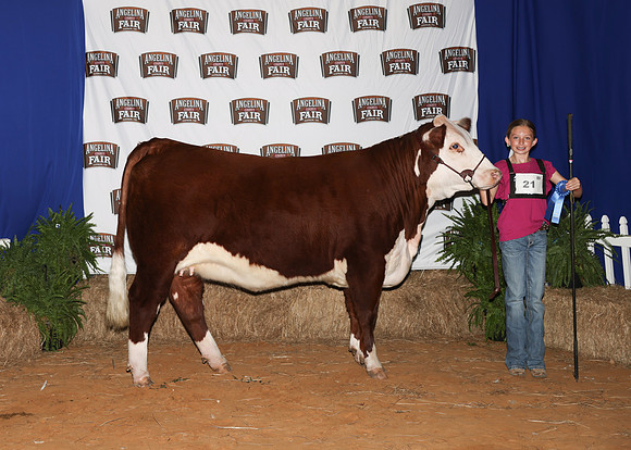 HeiferBackdrops-15
