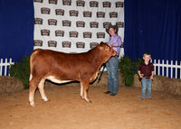 HeiferBackdrops-2